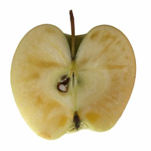 りんごの芯カビは食べても大丈夫 見分け方や対処法を教えます