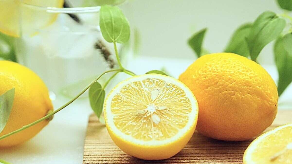 レモン汁　カビ　見分け方