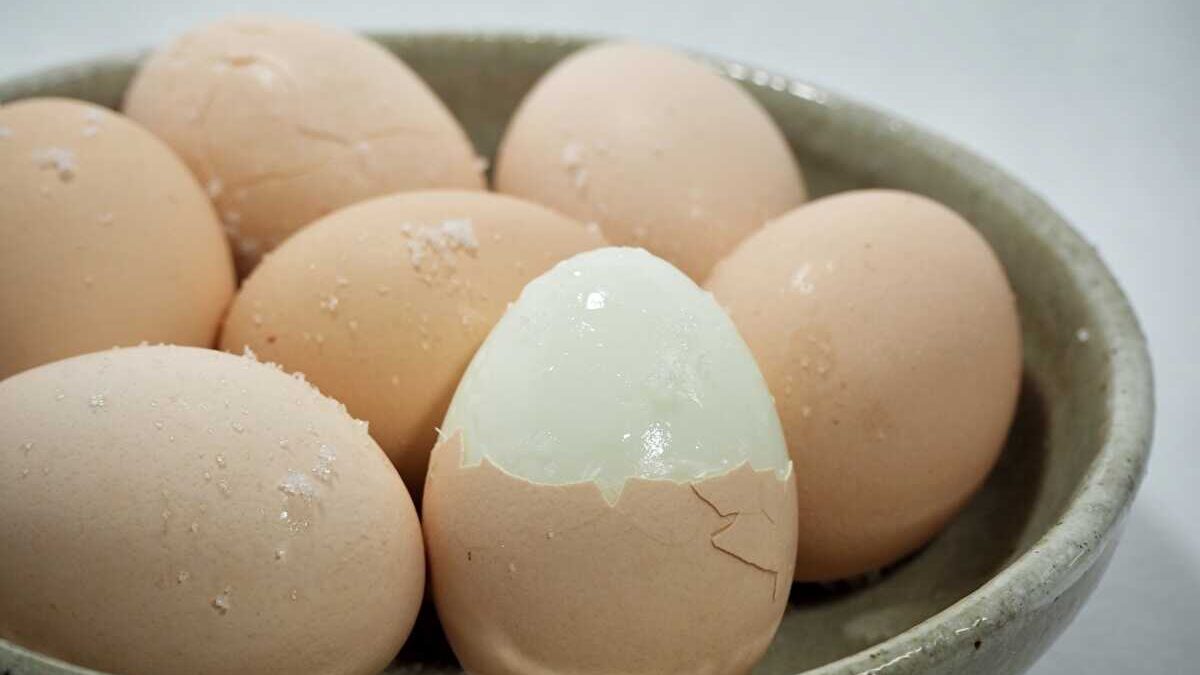 賞味期限切れ 卵 2週間 ゆで卵