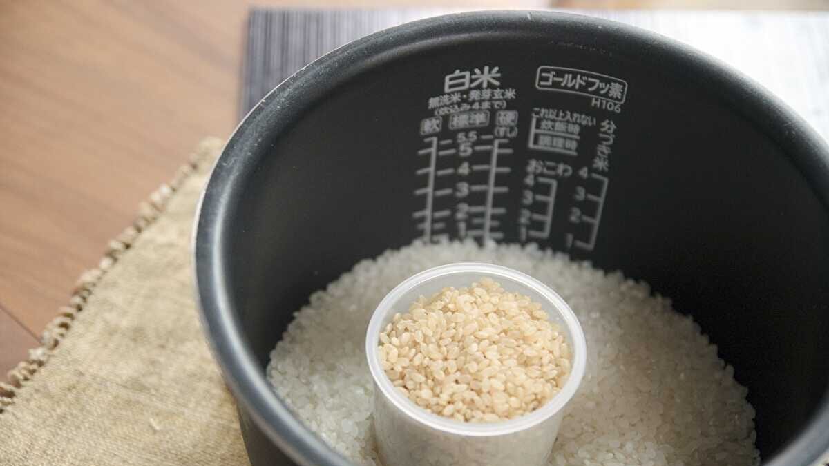 発芽玄米　副作用